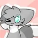 ChaseingFoXs