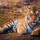 animalart1234
