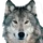 SnowWolf1515