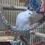 Floof-birb