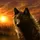 Twilightwolf