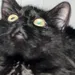 MrAngy