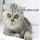 MAR-CAT