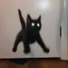 MichiTheWitch