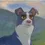 HawkFrost