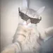 DinosaurCat101