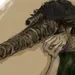 link65