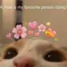 Imasimpidkidc