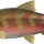 SalmonFishing