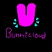 Bunnicloud