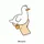 CanKnotDraw