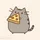 CAT-PIZZA